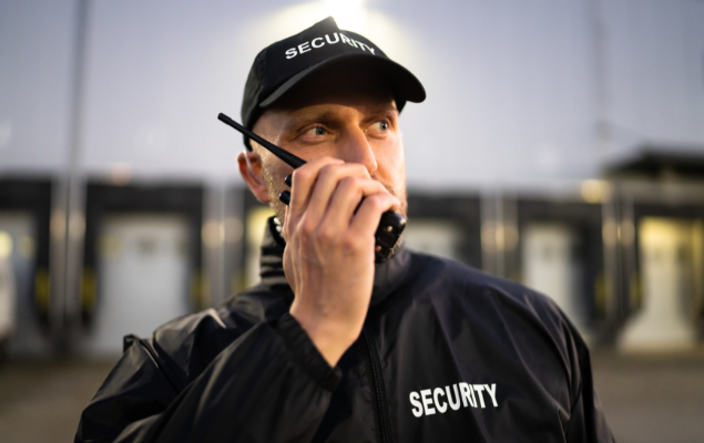 Avantaje Bridgeguard 