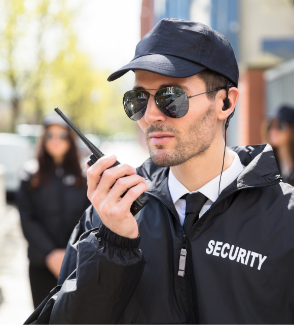 Beneficii Bridgeguard